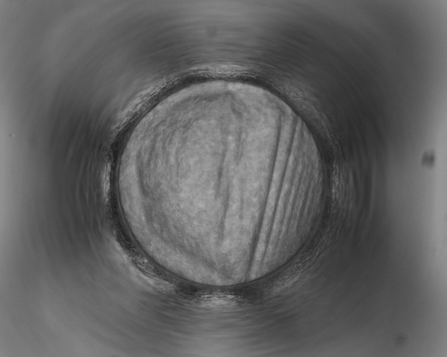 X0000115390206200912011236