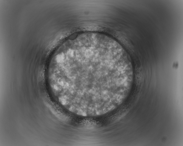 X0000115390207200912011236