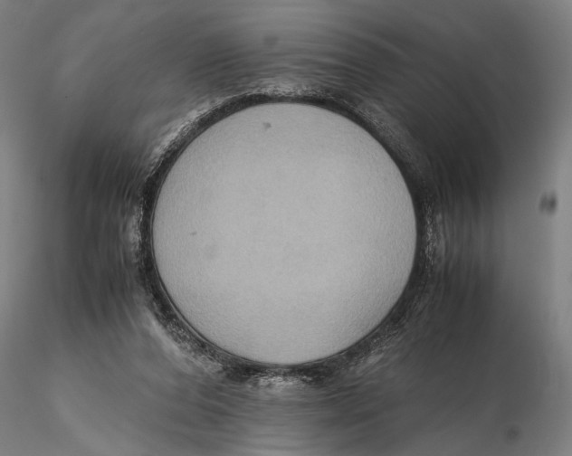 X0000115390208200912011236