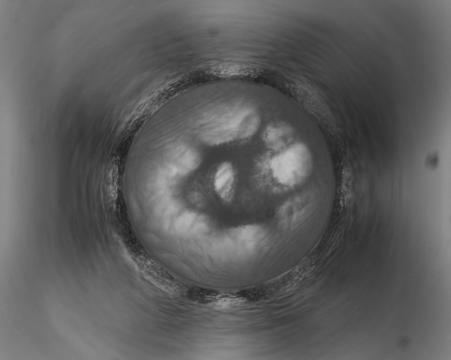 X0000115390210200912011236