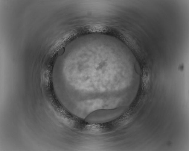 X0000115390211200912011236