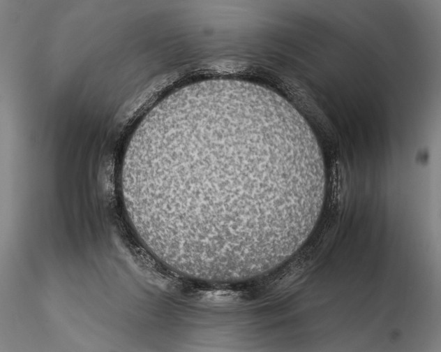 X0000115390212200912011236