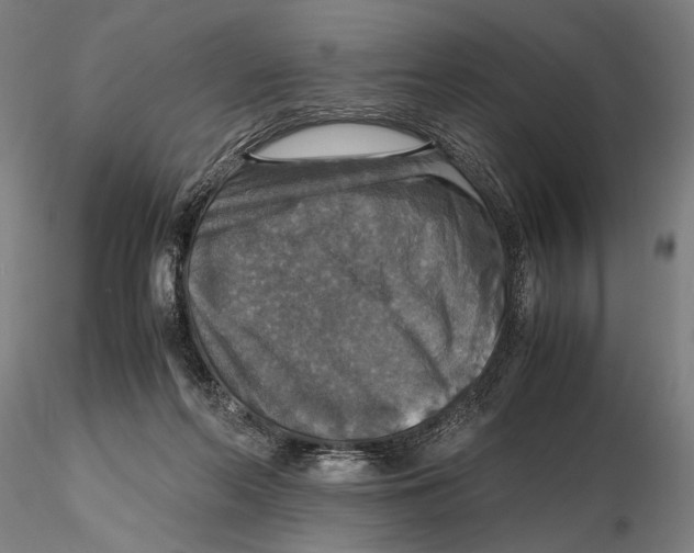 X0000115390214200912011236