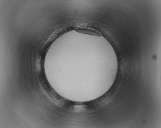 X0000115390216200912011236