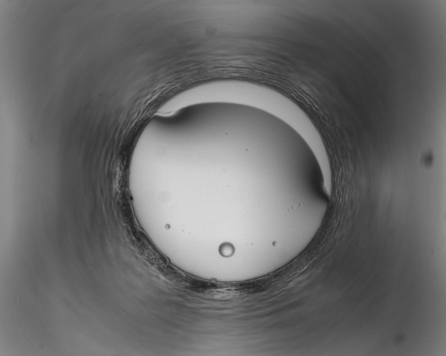 X0000115390219200912011236