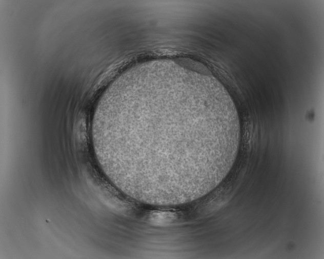 X0000115390220200912011236