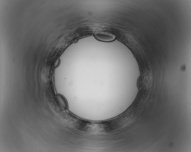 X0000115390221200912011236