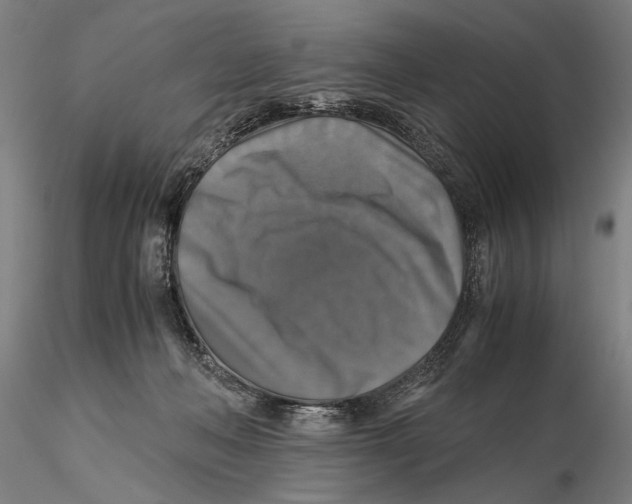 X0000115390222200912011236