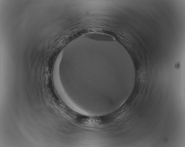 X0000115390223200912011235