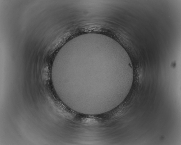 X0000115390224200912011235