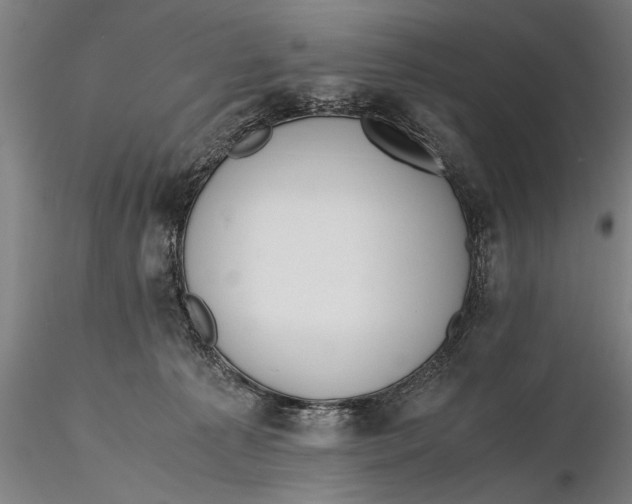 X0000115390225200912011235