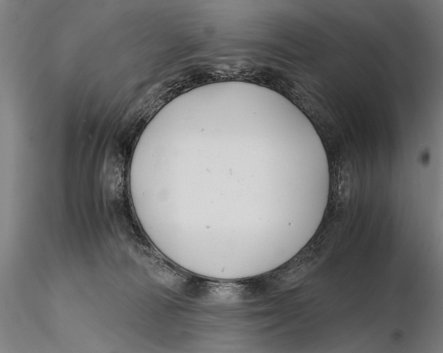 X0000115390226200912011235