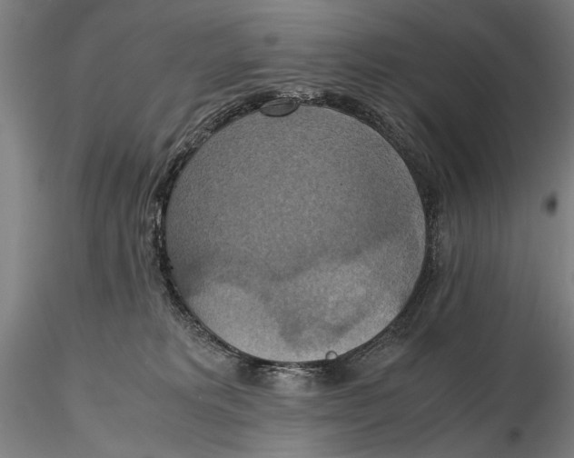 X0000115390229200912011235