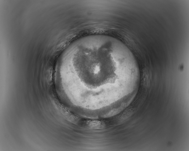 X0000115390230200912011235