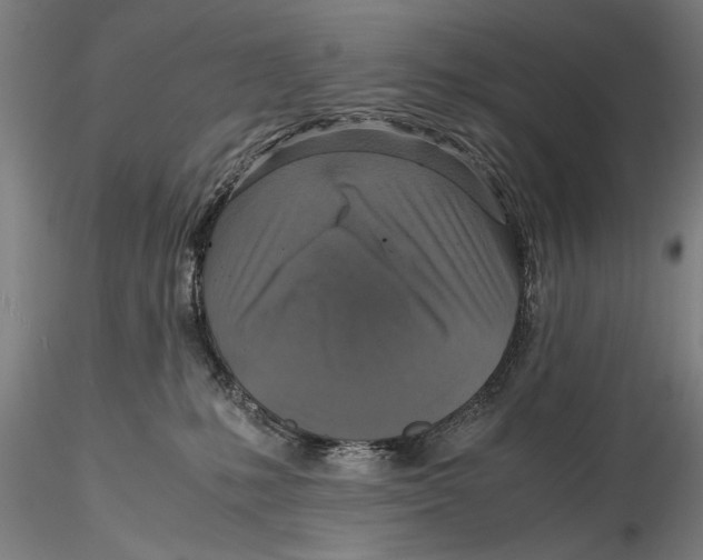 X0000115390231200912011235