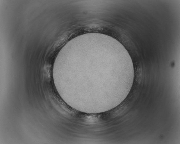 X0000115390232200912011235