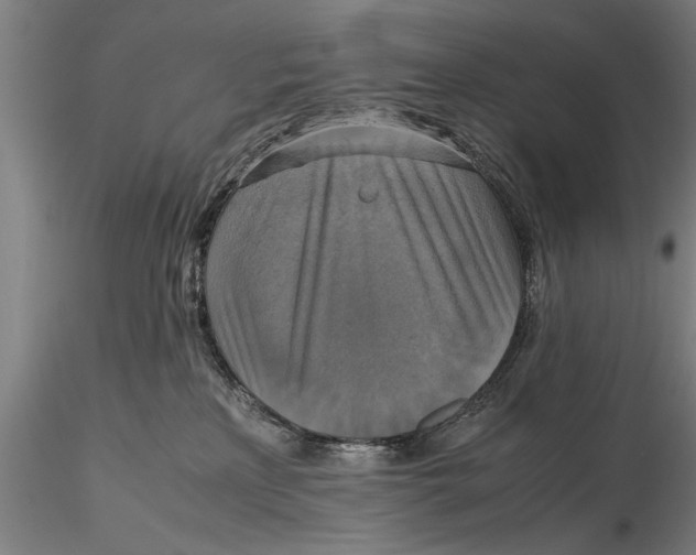 X0000115390233200912011235