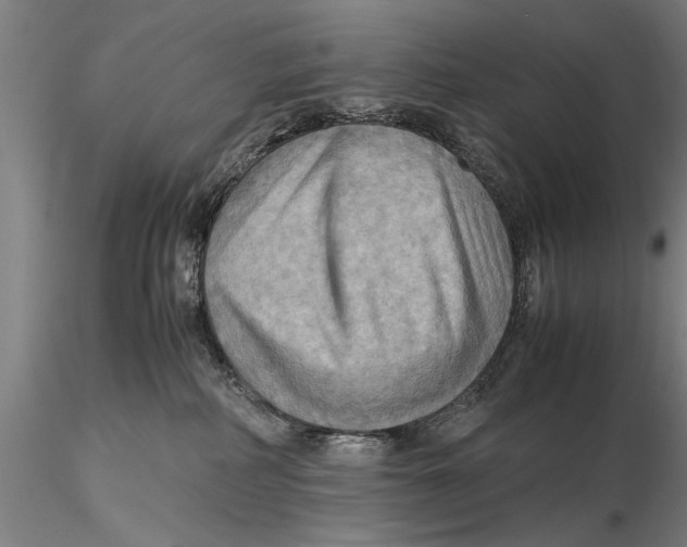 X0000115390234200912011235