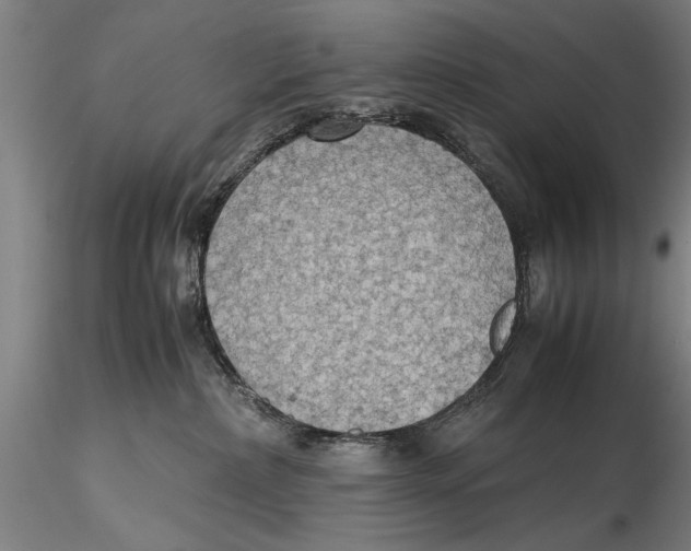 X0000115390236200912011235