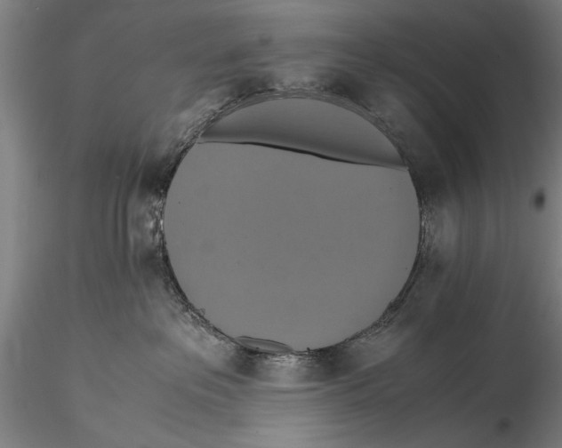 X0000115390237200912011235