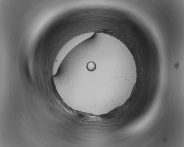 X0000115390239200912011235