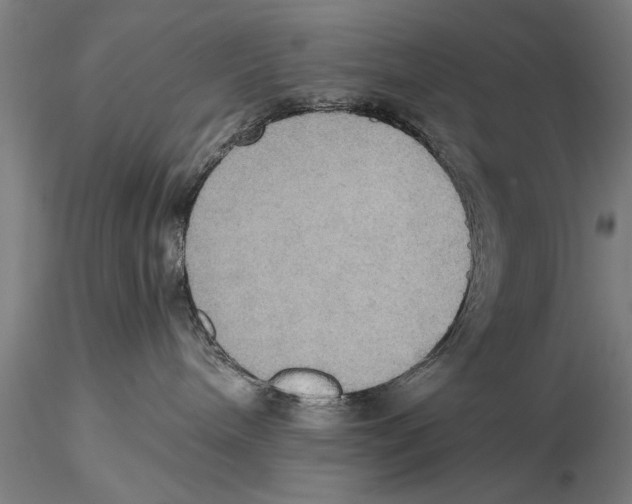 X0000115390240200912011235