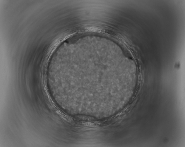 X0000115390241200912011235