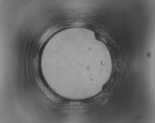 X0000115390242200912011235