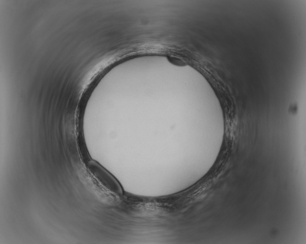 X0000115390244200912011235