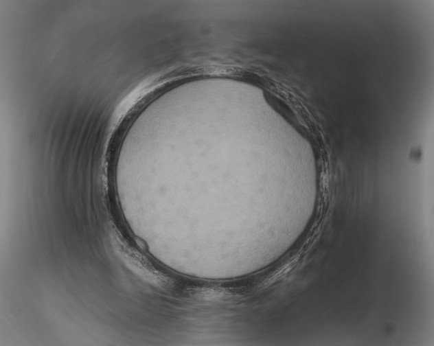 X0000115390246200912011235