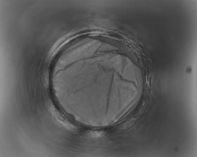 X0000115390247200912011235