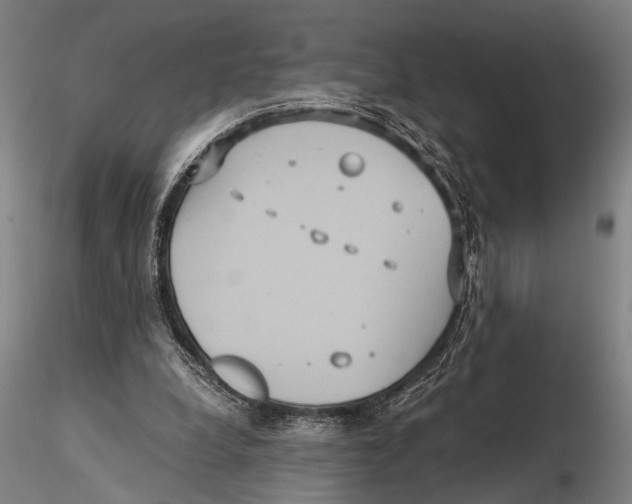 X0000115390248200912011235