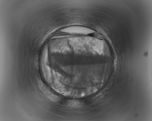 X0000115390249200912011235