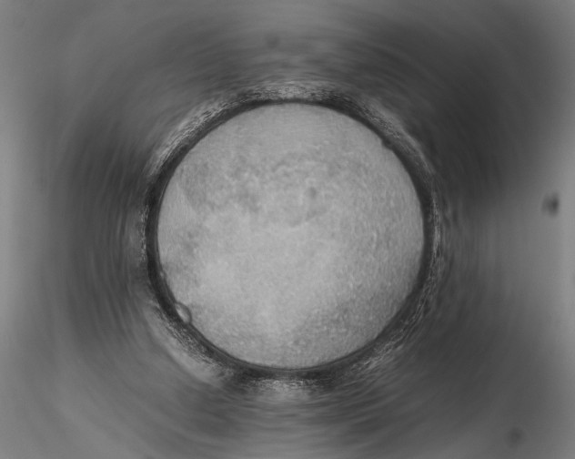 X0000115390250200912011235