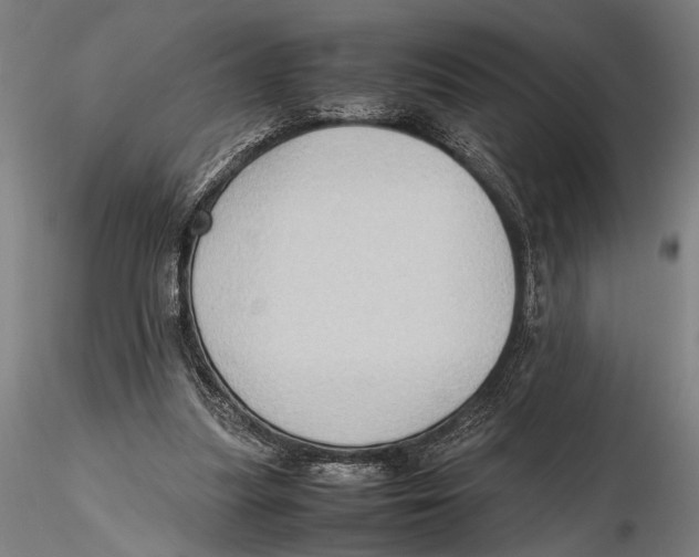 X0000115390251200912011235