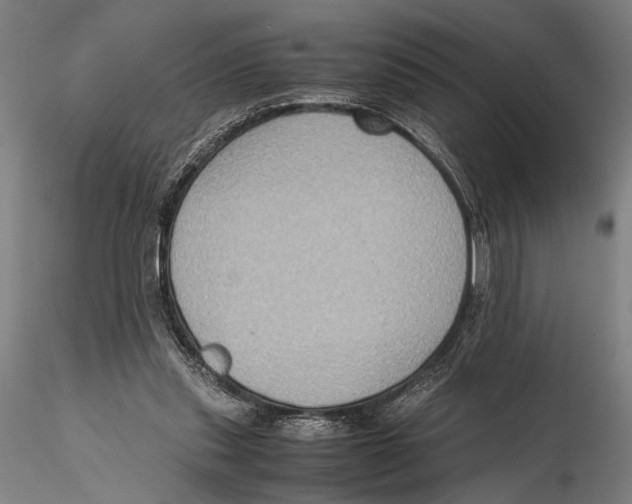 X0000115390253200912011235