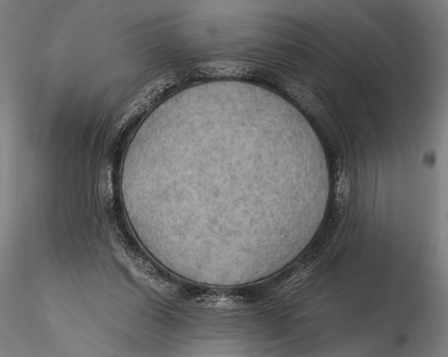 X0000115390254200912011235