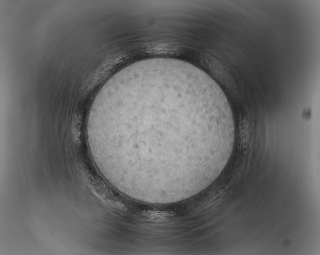 X0000115390255200912011235