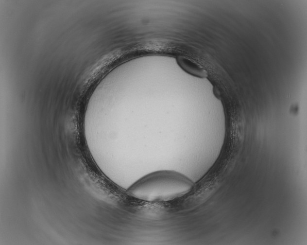 X0000115390256200912011235