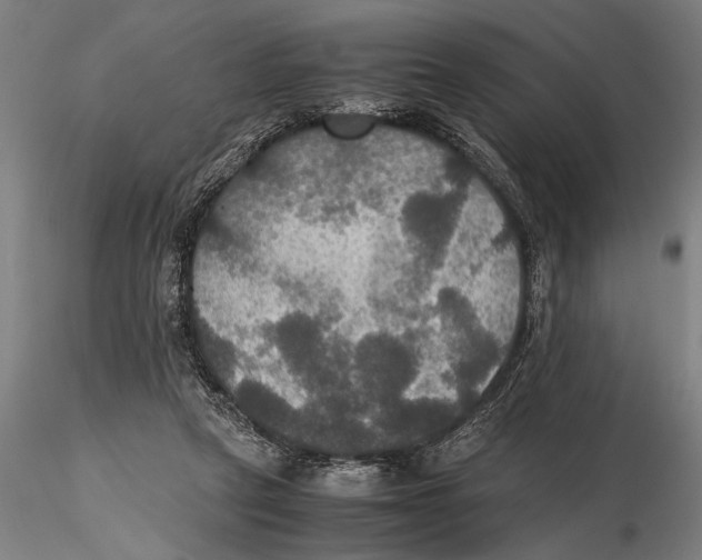 X0000115390257200912011235