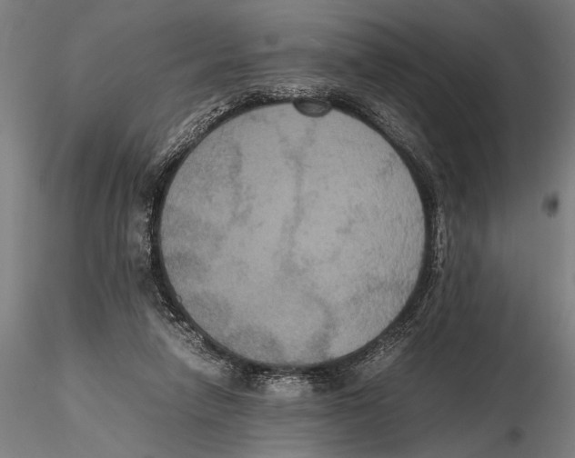 X0000115390258200912011235