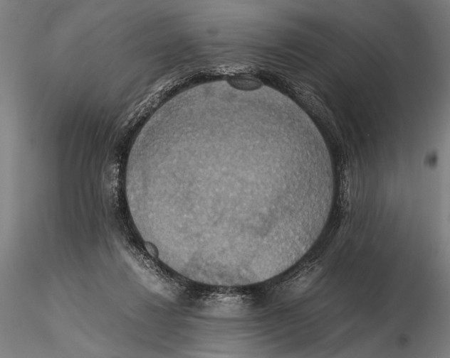 X0000115390260200912011235