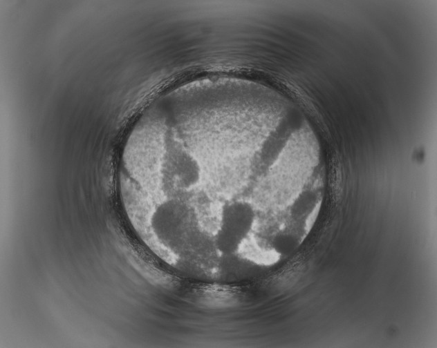 X0000115390261200912011235