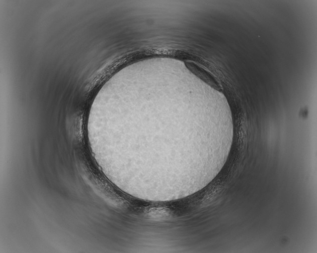 X0000115390262200912011235