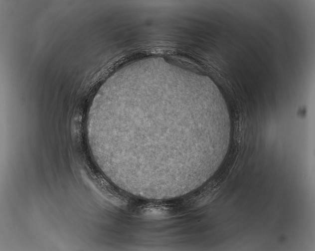 X0000115390263200912011235