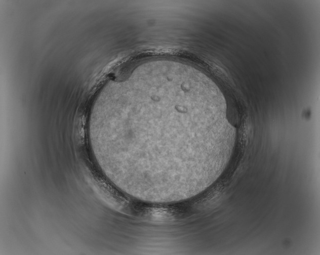 X0000115390264200912011235