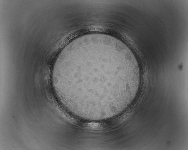 X0000115390265200912011235