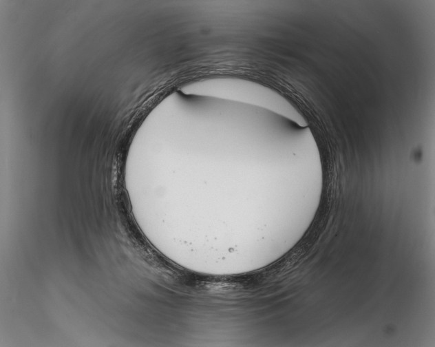 X0000115390268200912011235