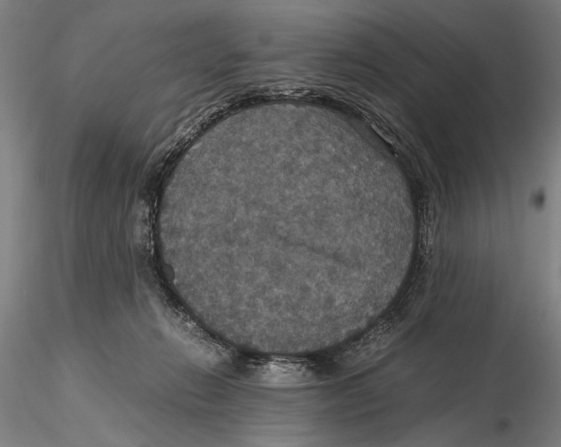 X0000115390270200912011235