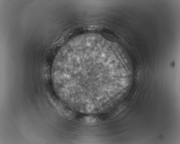 X0000115390272200912011235